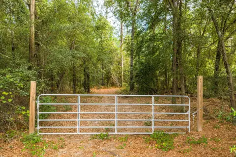 Expansive Land Parcel in Hephzibah
