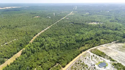 Wooded Land with Stream