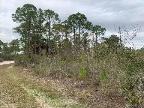 Cedar Key Buildable Land Parcel
