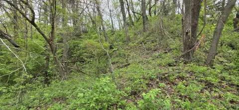 Vacant Land Near Miller Beach