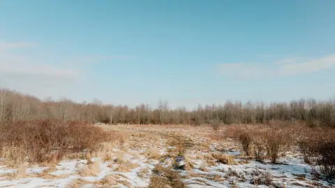 25+ Acre Cranesville Land Parcel