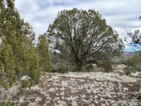 Land Near Kaibab National Forest