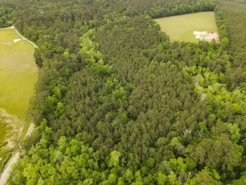 East Texas Timber Recreational Tract