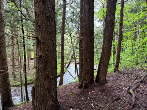 Wooded Waterfront Recreation Land