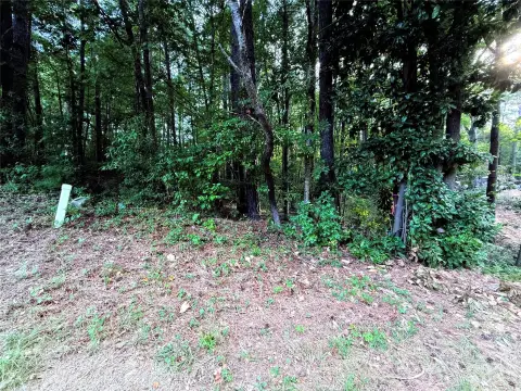 Norwood, NC Infill Lot