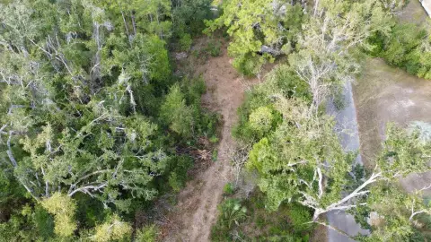 Wooded Acreage in Perry, Florida