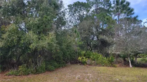 Wooded Lot Near I-75