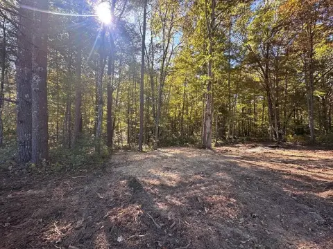 Allardt, TN Wooded Tract