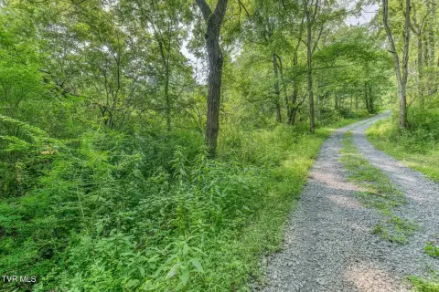 Unrestricted Mountain Acreage with Creek
