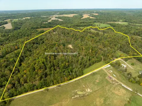 Wooded Hunting Property