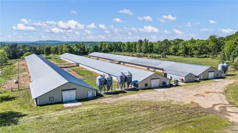 Ozark Mountain Income-Producing Egg Farm