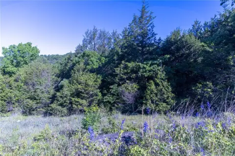 Berryville Land with Highway Frontage