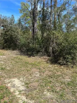 Citrus Springs Corner Lot