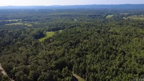 Wooded Hunting Land