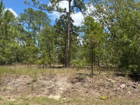 Dunnellon, FL Building Lot