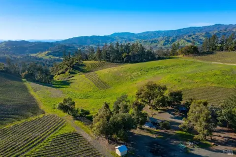 Vineyard Estate with Guest Home