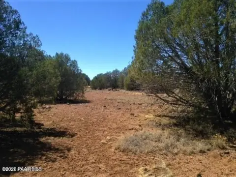 40 Acres in Ash Fork