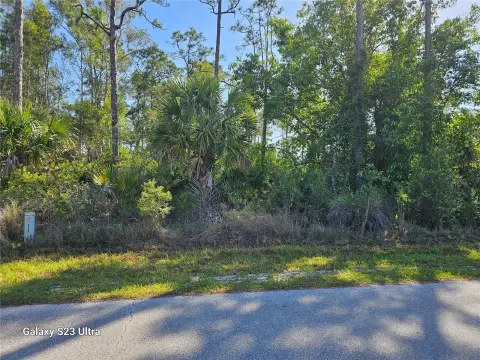 Residential Land in Punta Gorda