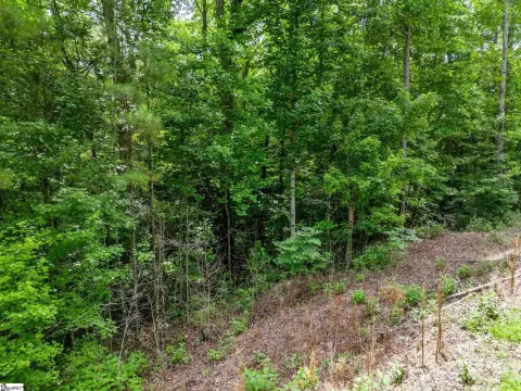 Fountain Inn Acreage For Sale