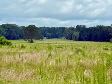 Ranch Property on Housen Bayou