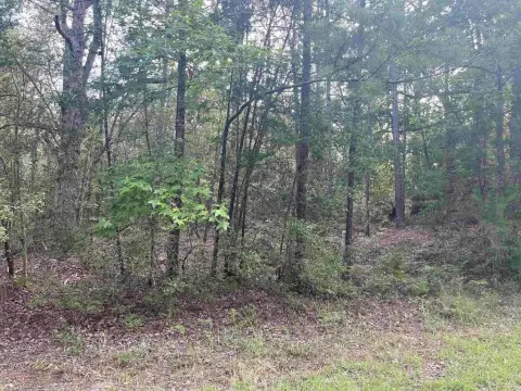 Flat Waterfront-Access Land Parcel