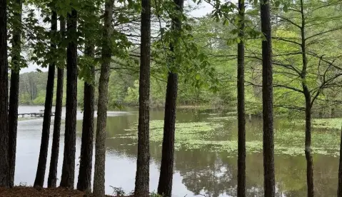 Waterfront Land with Lake Shoreline