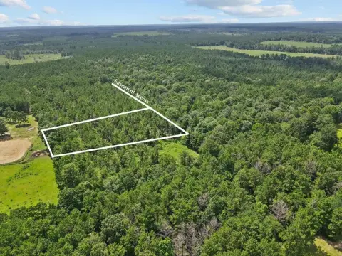 Unrestricted Timber Land Tract