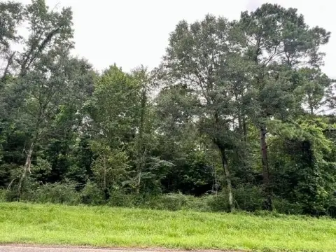 Wooded Waterfront Acreage on Highway