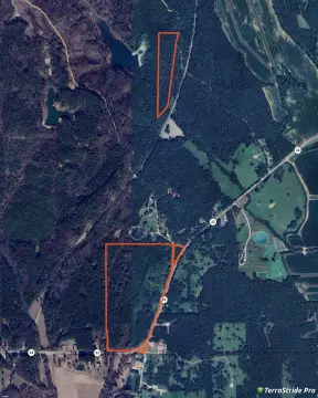 Timber Hunting Land Parcels