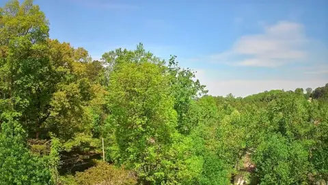 Land on Highway 41, Ringgold