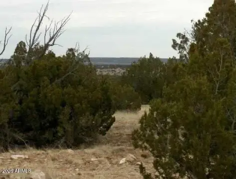 Heber, AZ Land Opportunity