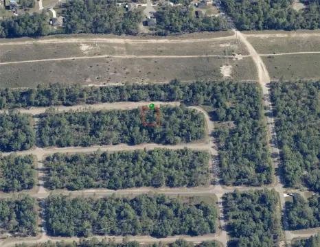 Wooded Lot in Citrus Springs