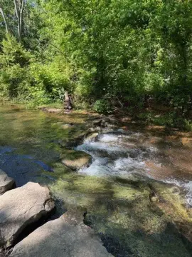 Bella Vista Land Opportunity