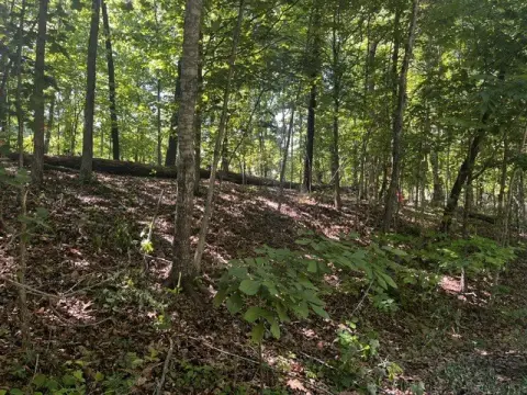 Buildable Lot Near Lake Ann