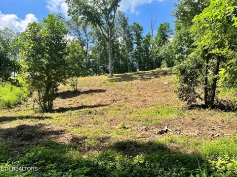 Unrestricted Land Near Watts Bar
