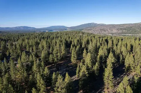 Truckee Acreage: Development Opportunity