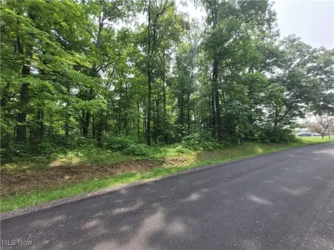 Recreational Land Near Cinnamon Lake