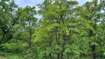 Land in Growing Nocona Hills