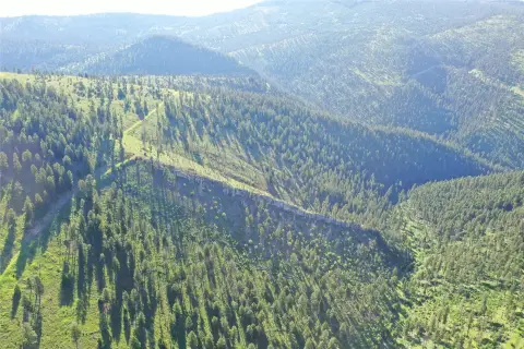 Recreation Hunting Land Tract