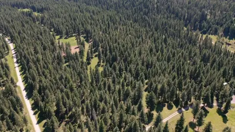Waterfront Home Site with Creek
