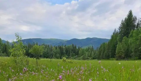 Septic-Approved Buildable Land