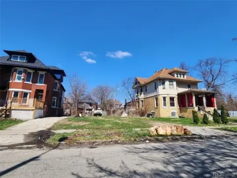 Detroit Land Infill Opportunity