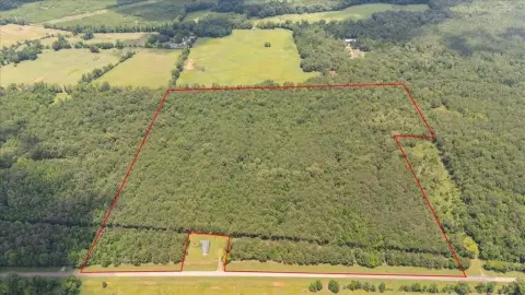Wooded Recreational Land Tract