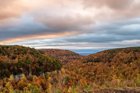Soddy Daisy Land with Views