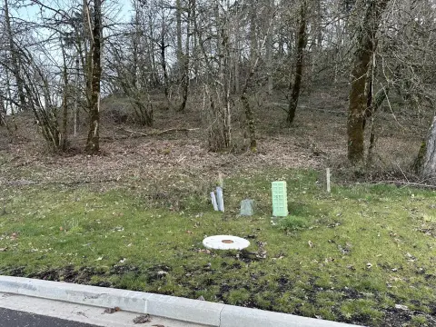 Residential Lot Near Moon Mountain