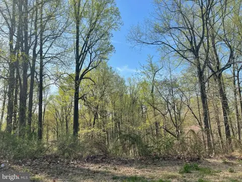 Wooded Land in Randallstown, MD