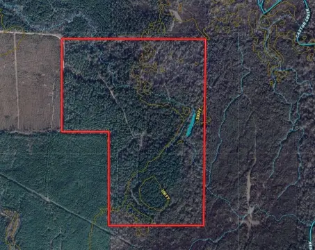 Timber Hunting Land Tract