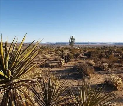 Joshua Tree Land with Plans