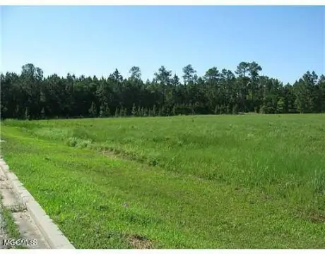 Partially Cleared Commercial Land