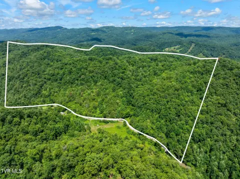 Wooded Hunting & Recreation Land Tract